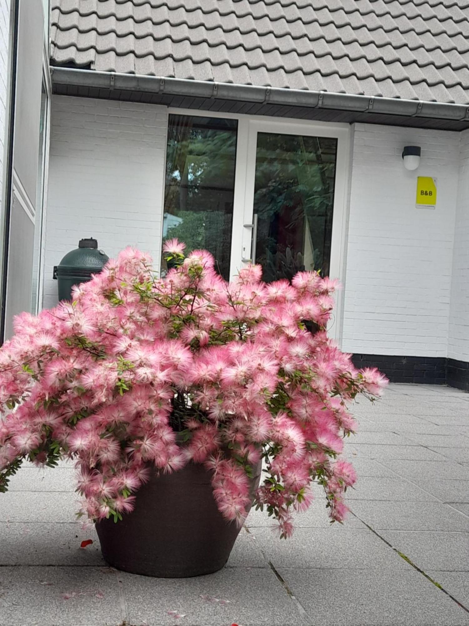 Kromven Merksplas Exteriér fotografie