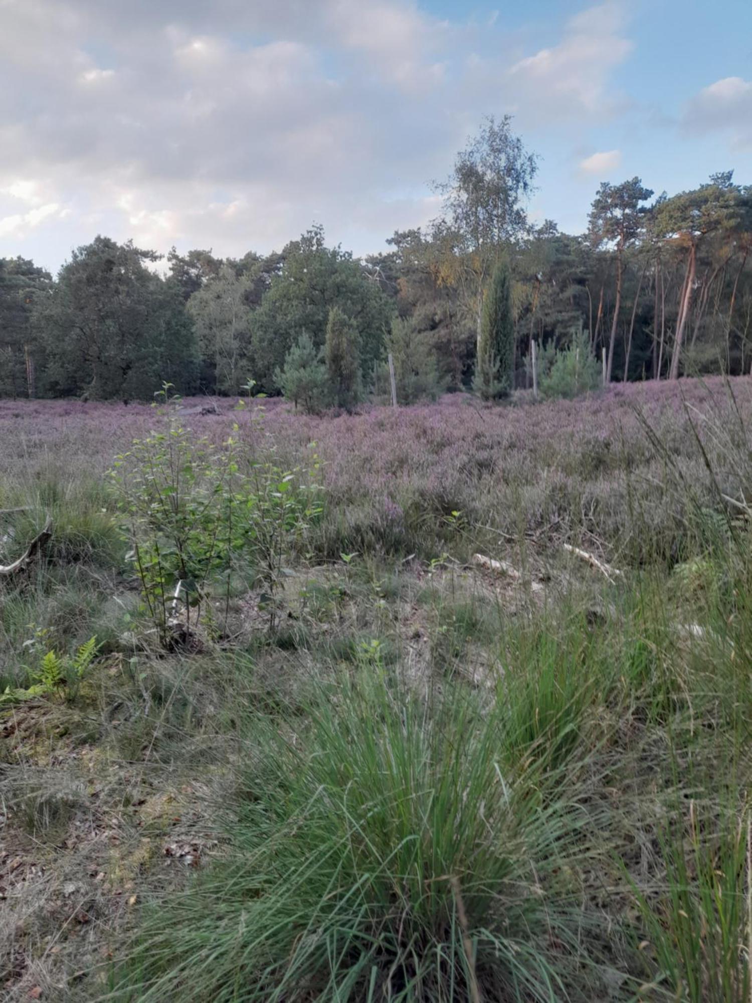 Kromven Merksplas Exteriér fotografie
